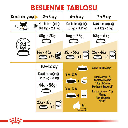 Royal Canin British Shorthair Kedi Maması