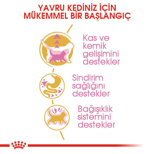 Royal Canin British Shorthair Kedi Maması