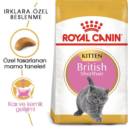 Royal Canin British Shorthair Kedi Maması