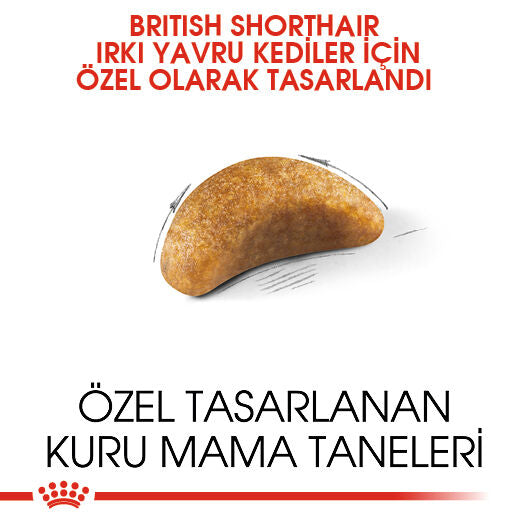 Royal Canin British Shorthair Kedi Maması