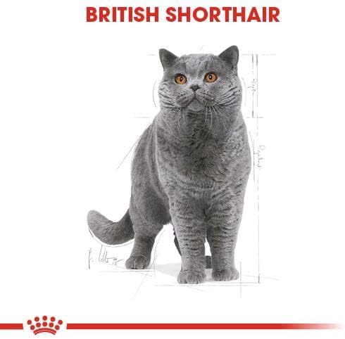 Royal Canin British Shorthair Yetişkin Kedi Yaş Maması, 85g