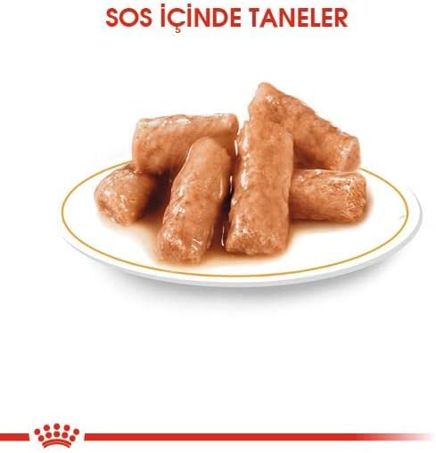 Royal Canin British Shorthair Yetişkin Kedi Yaş Maması, 85g