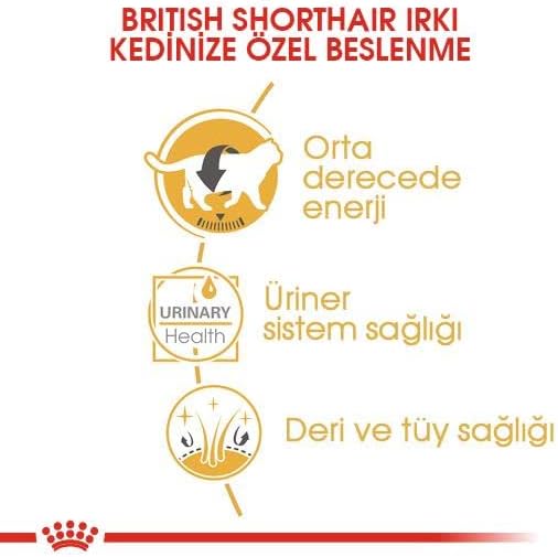 Royal Canin British Shorthair Yetişkin Kedi Yaş Maması, 85g
