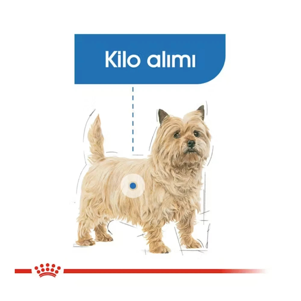 Royal Canin Light Weight Care Mini Yetişkin Köpek Maması, 3Kg