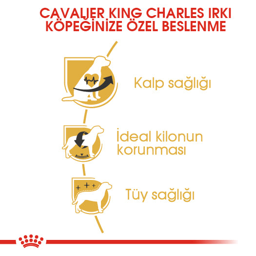 Royal Canin Cavalier King Charles Yetişkin Köpek Maması, 1.5Kg
