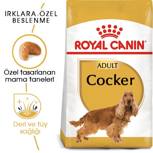 Royal Canin Cocker Yetişkin Köpek Maması, 3Kg