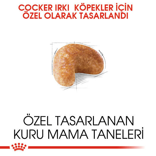 Royal Canin Cocker Yetişkin Köpek Maması, 3Kg