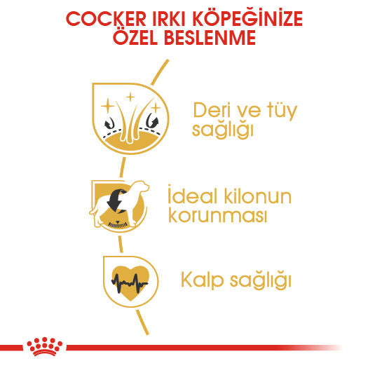 Royal Canin Cocker Yetişkin Köpek Maması, 3Kg