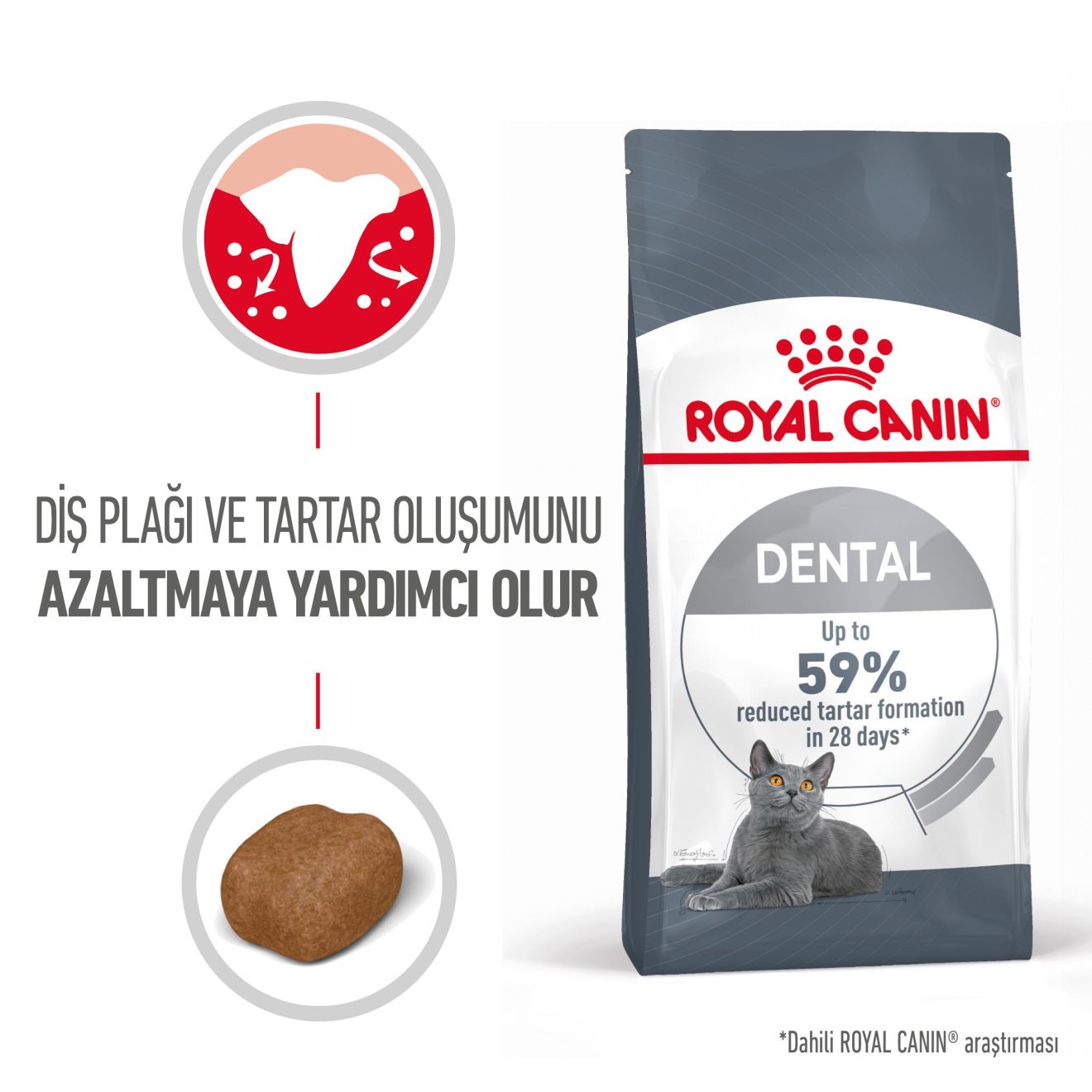 Royal Canin Dental Care Yetişkin Kedi Maması, 1.5Kg