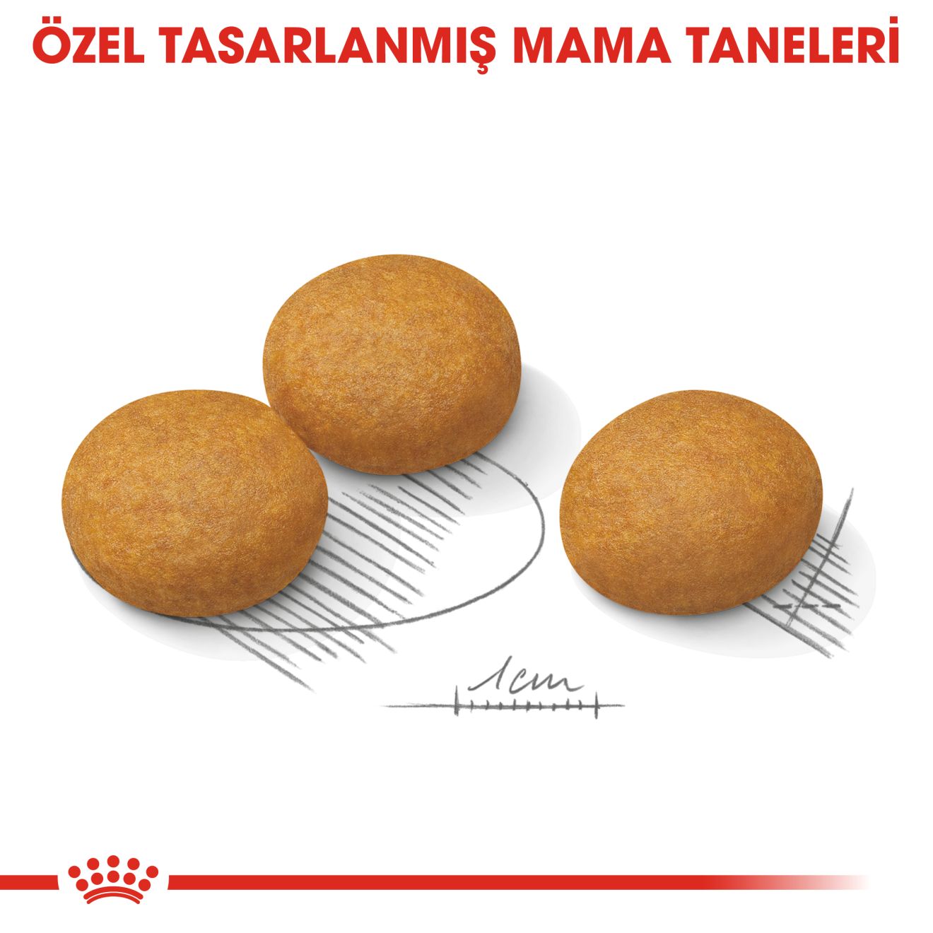 Royal Canin Dermacomfort Yetişkin Köpek Maması