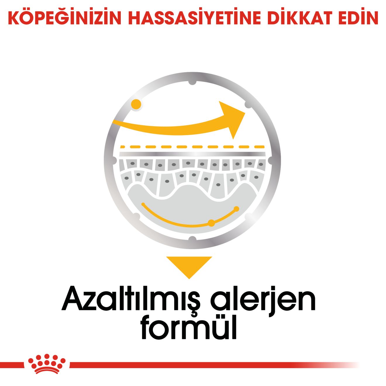 Royal Canin Dermacomfort Yetişkin Köpek Yaş Maması, 85g