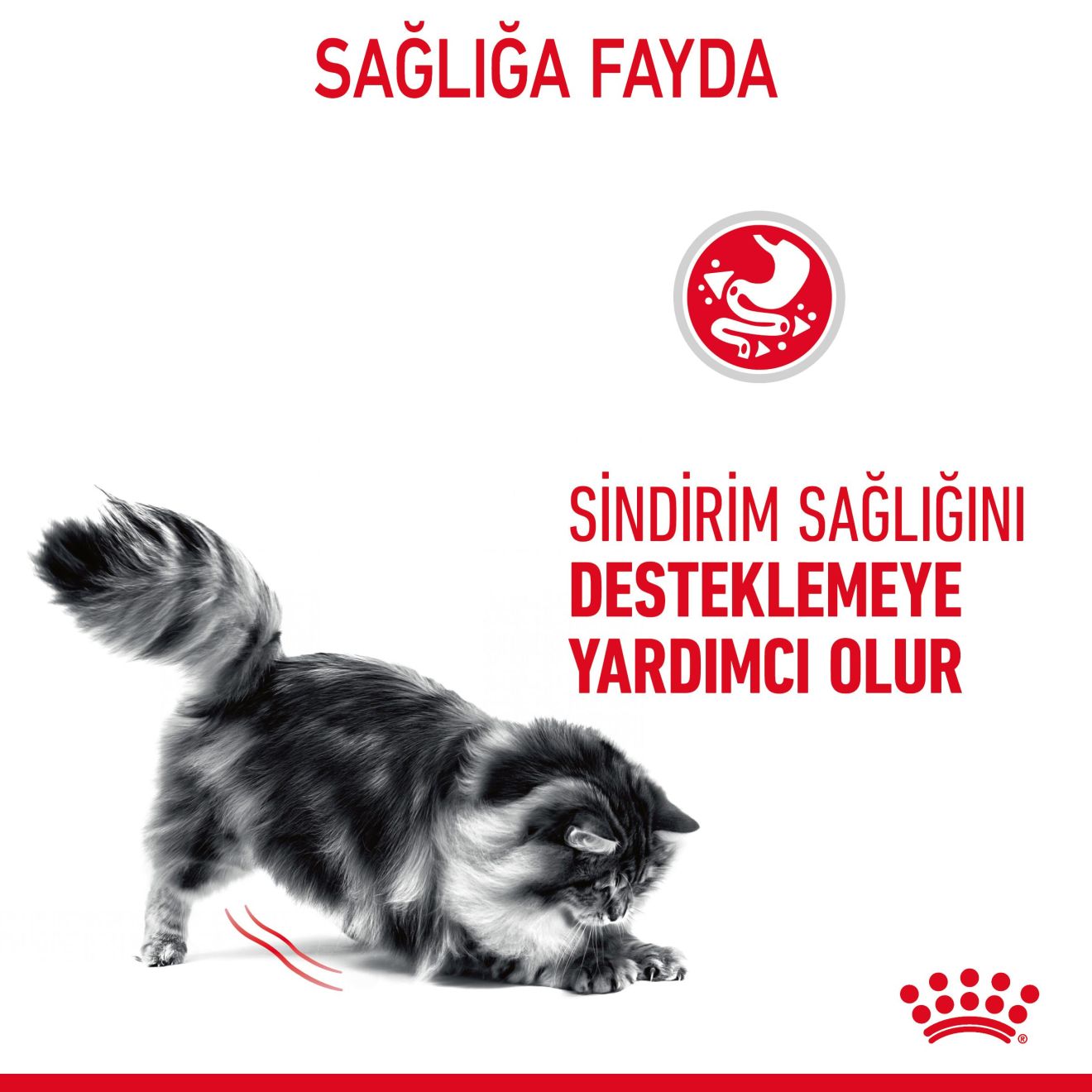 Royal Canin Digest Sensitive Gravy Yetişkin Kedi Yaş Maması, 85g