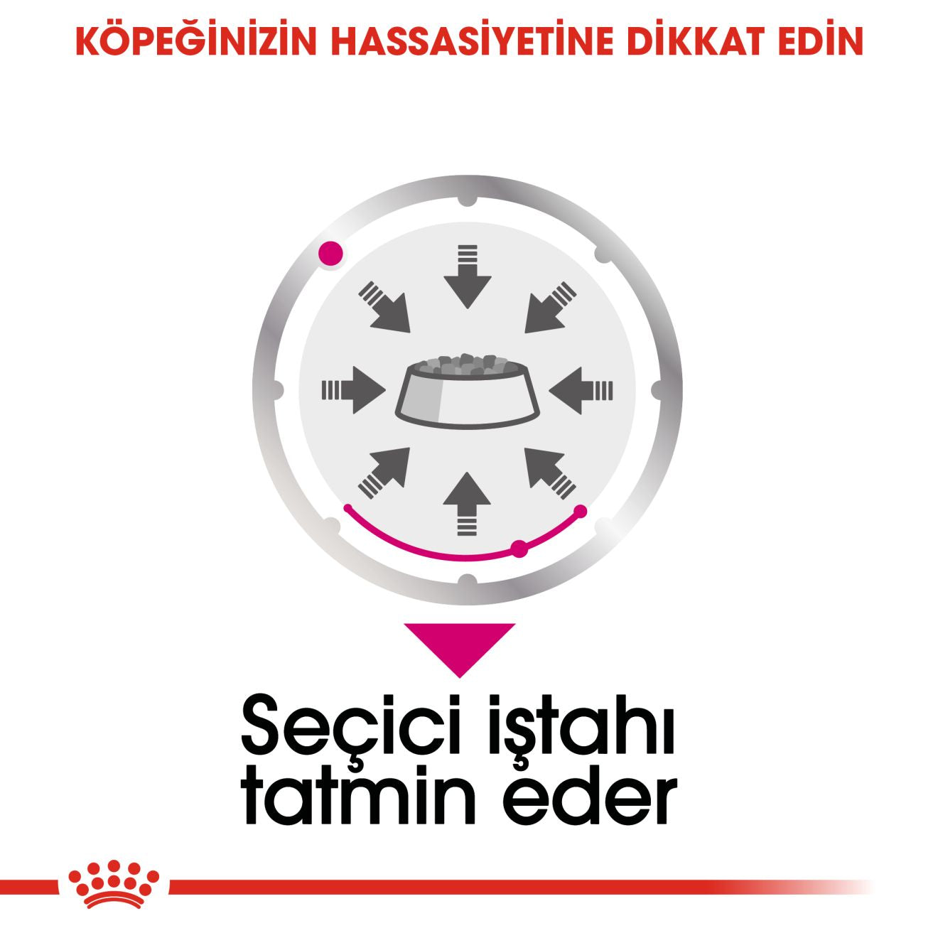 Royal Canin Exigent Yetişkin Köpek Yaş Maması, 85g
