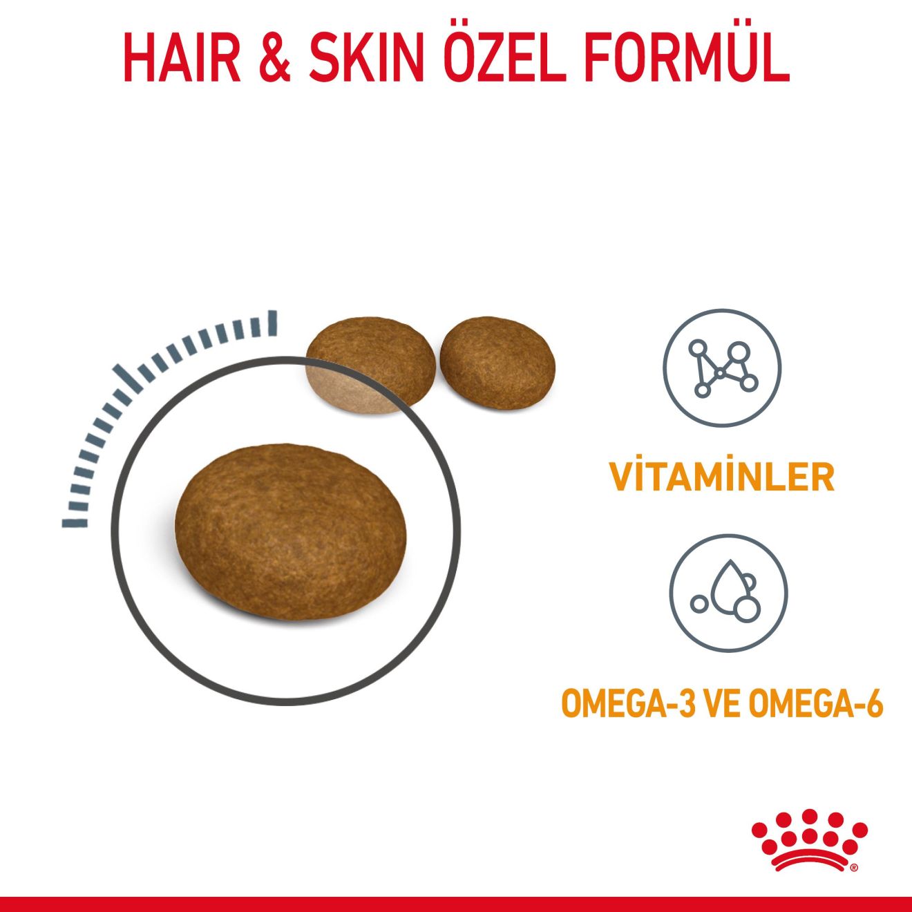 Royal Canin Hair & Skin Care Yetişkin Kedi Maması