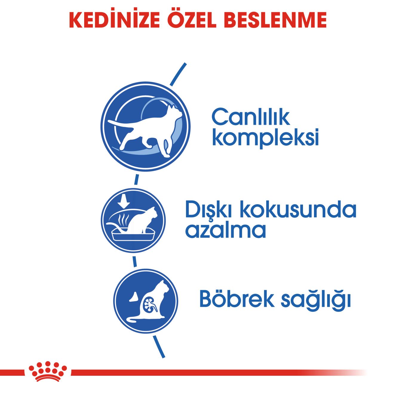Royal Canin İndoor Kedi Maması