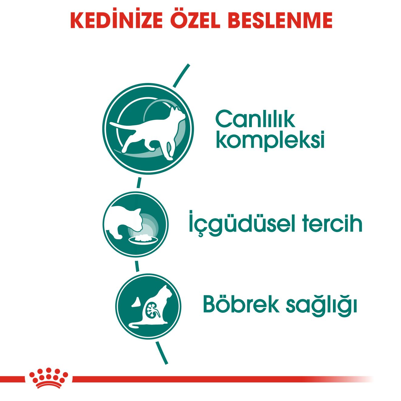 Royal Canin İnstinctive Kedi Yaş Maması, 85g