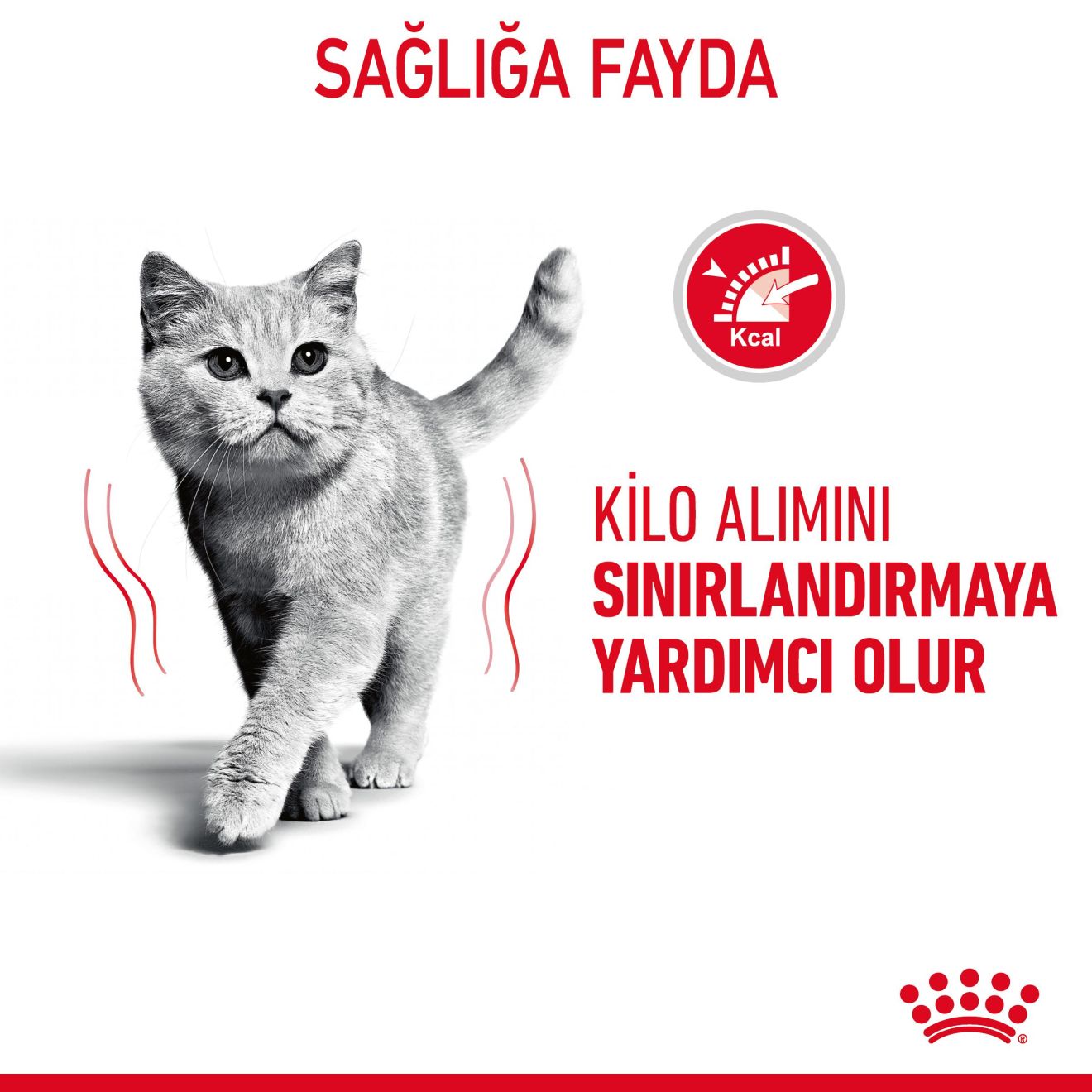 Royal Canin Light Weight Care Yetişkin Kedi Maması, 1.5Kg