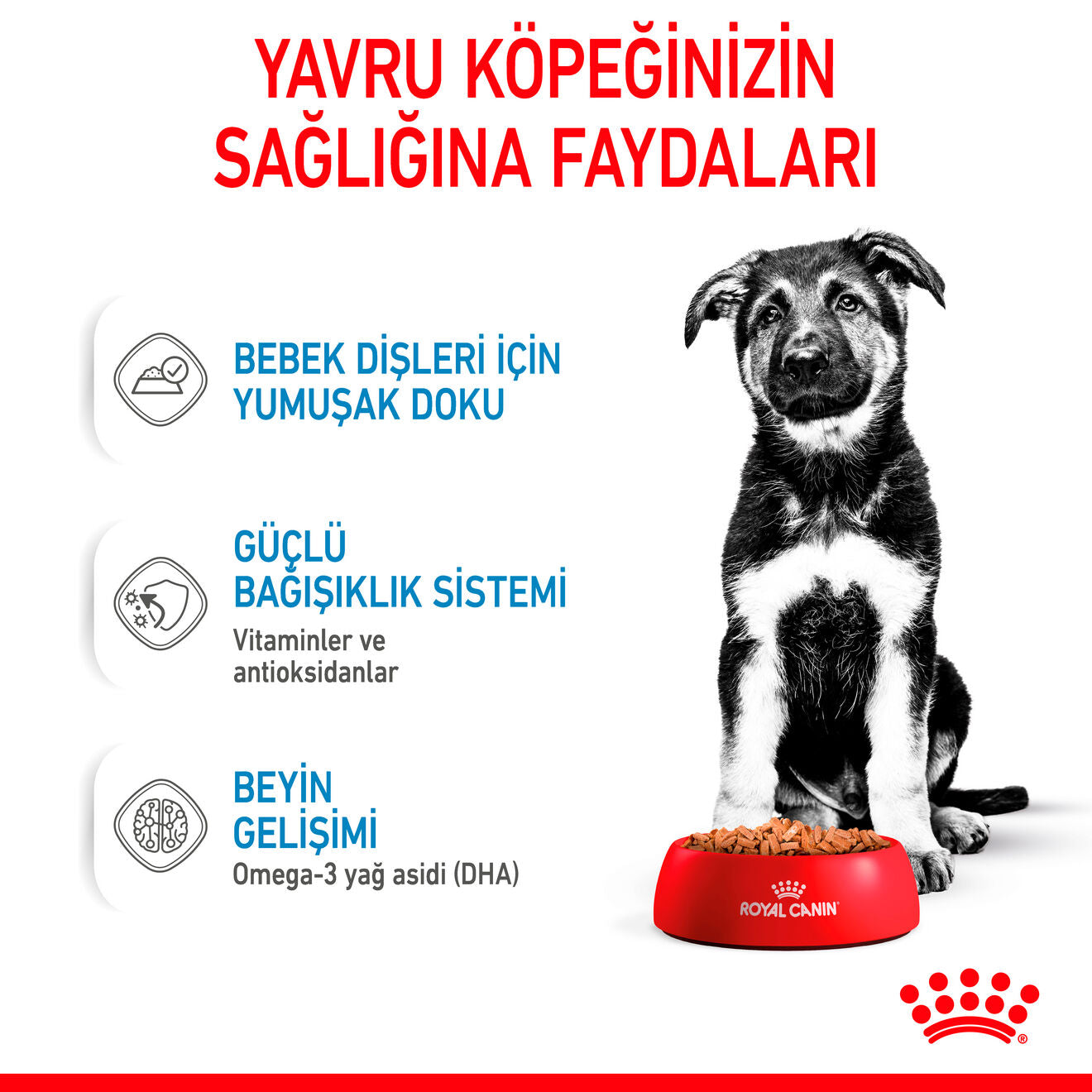 Royal Canin Maxi Puppy Büyük Yavru Köpek Yaş Maması, 140g