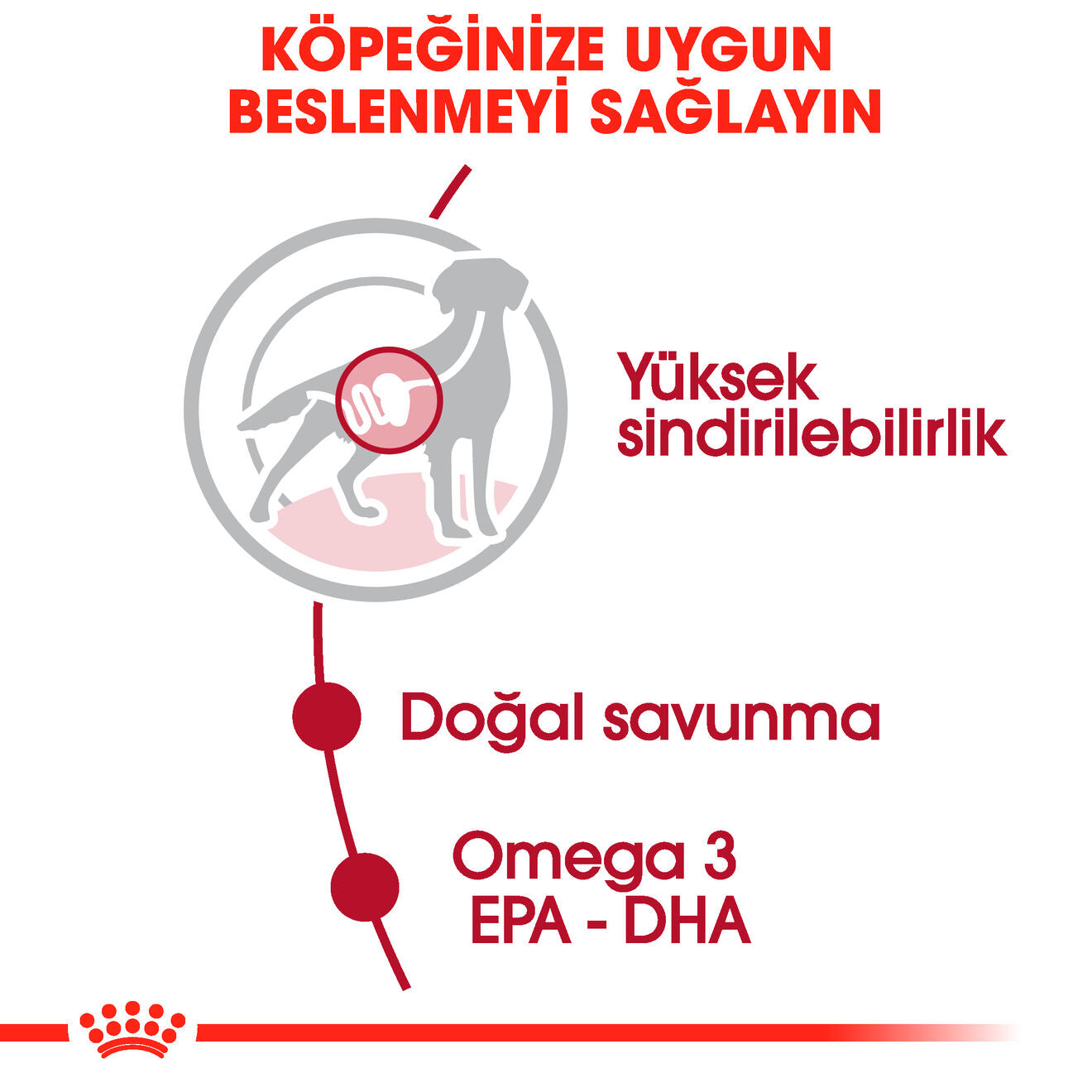 Royal Canin Medium Orta Yetişkin Köpek Yaş Maması, 140g