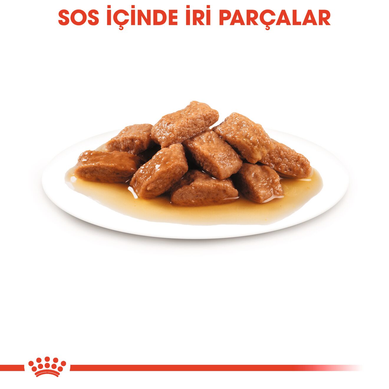 Royal Canin Medium Orta Yetişkin Köpek Yaş Maması, 140g