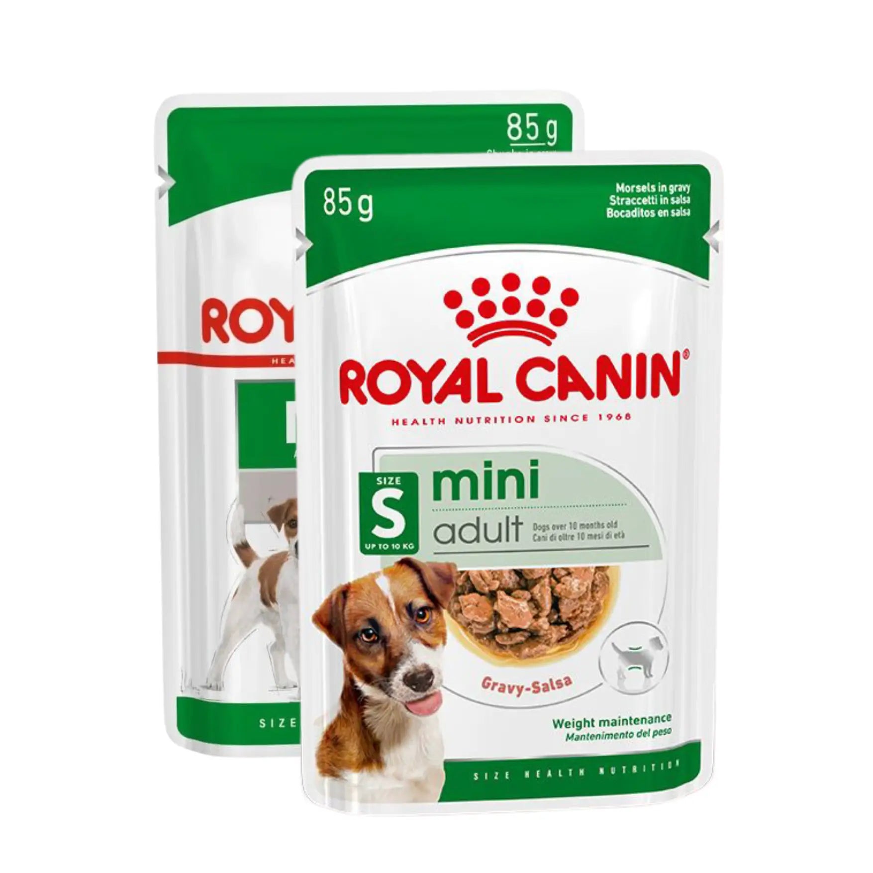 Royal Canin Mini Köpek Konserve Maması, 85g