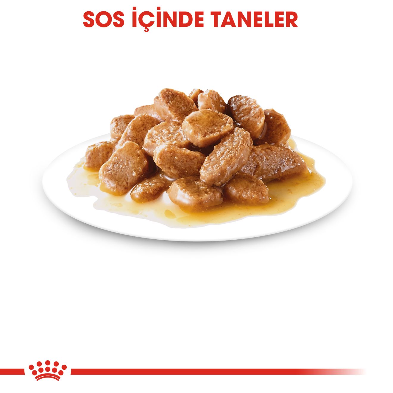 Royal Canin Mini Köpek Konserve Maması, 85g