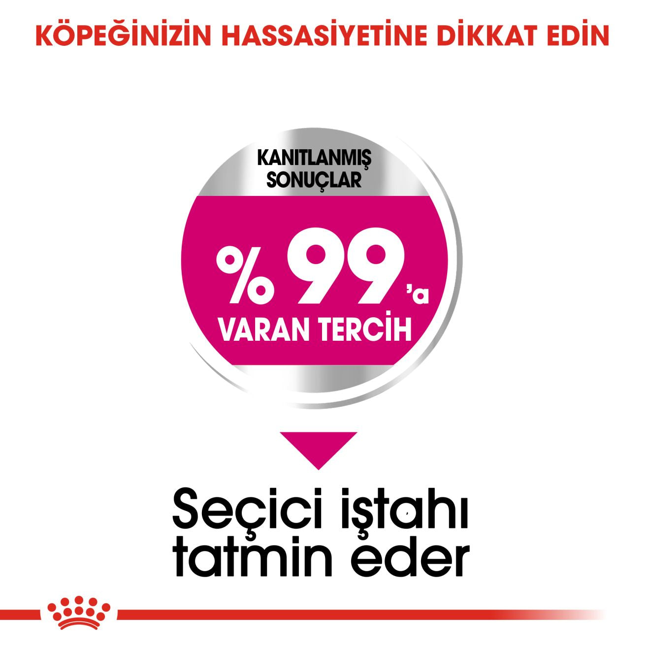 Royal Canin Mini Exigent Yetişkin Köpek Maması, 3Kg