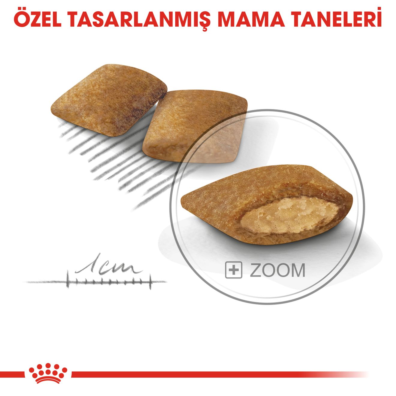 Royal Canin Mini Exigent Yetişkin Köpek Maması, 3Kg