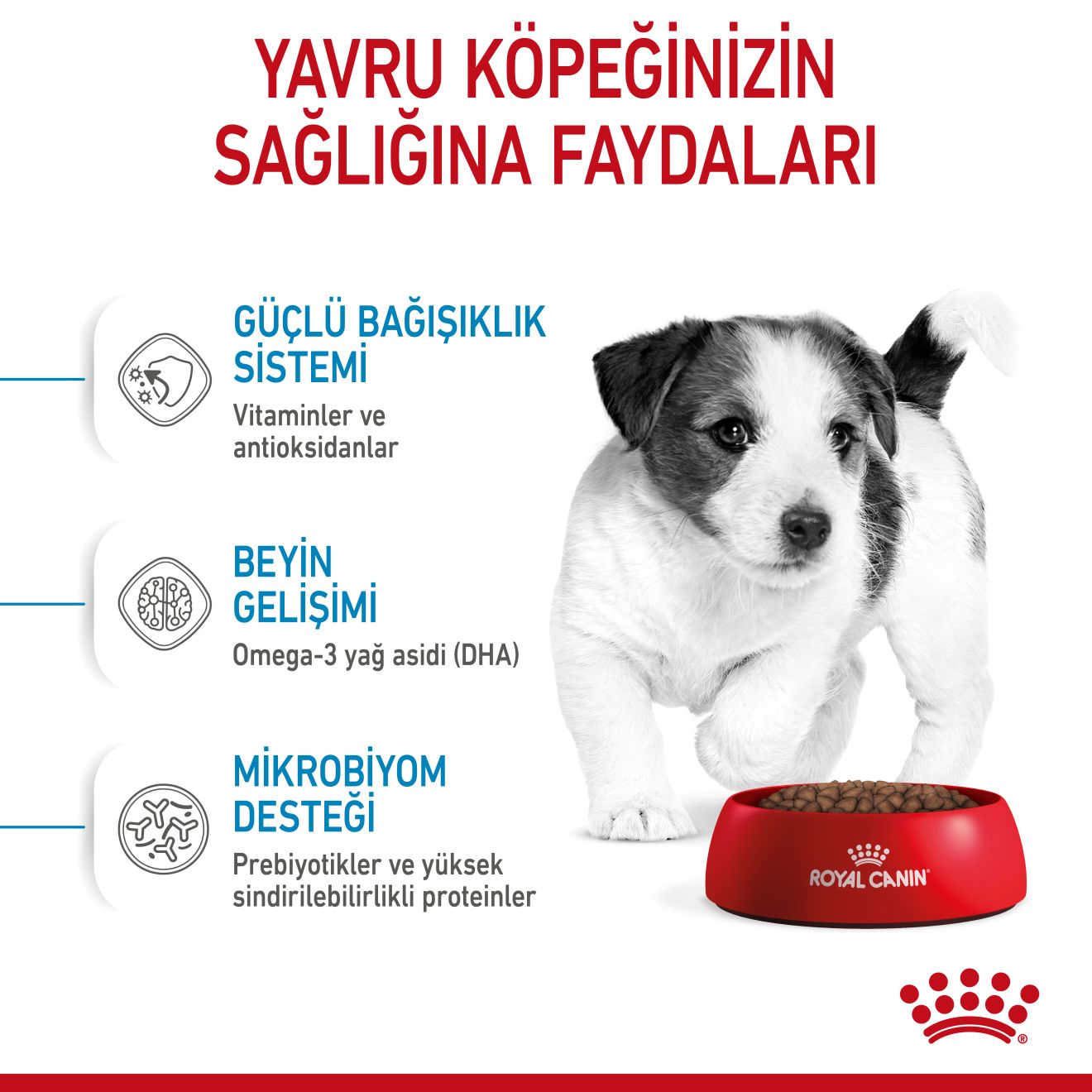 Royal Canin Mini Puppy Yavru Köpek Maması