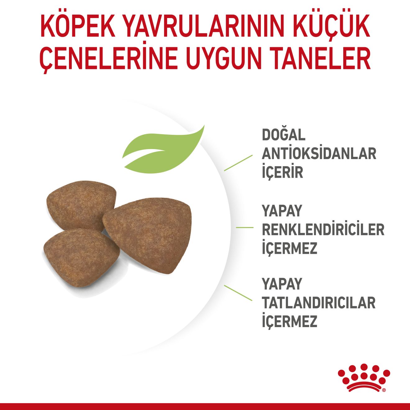 Royal Canin Mini Puppy Yavru Köpek Maması