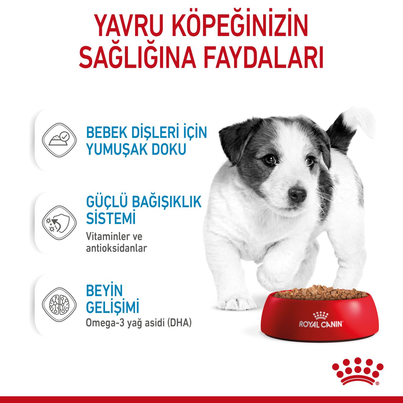 Royal Canin Mini Puppy Yavru Köpek Yaş Maması, 85g