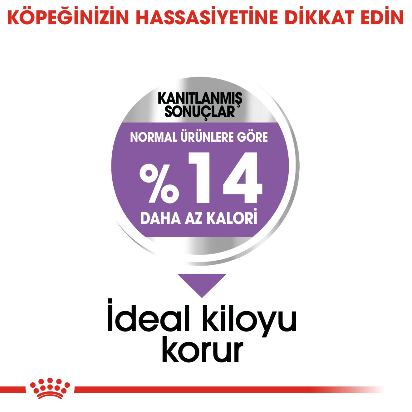 Royal Canin Mini Sterilised Kısırlaştırılmış Yetişkin Köpek Maması, 3Kg