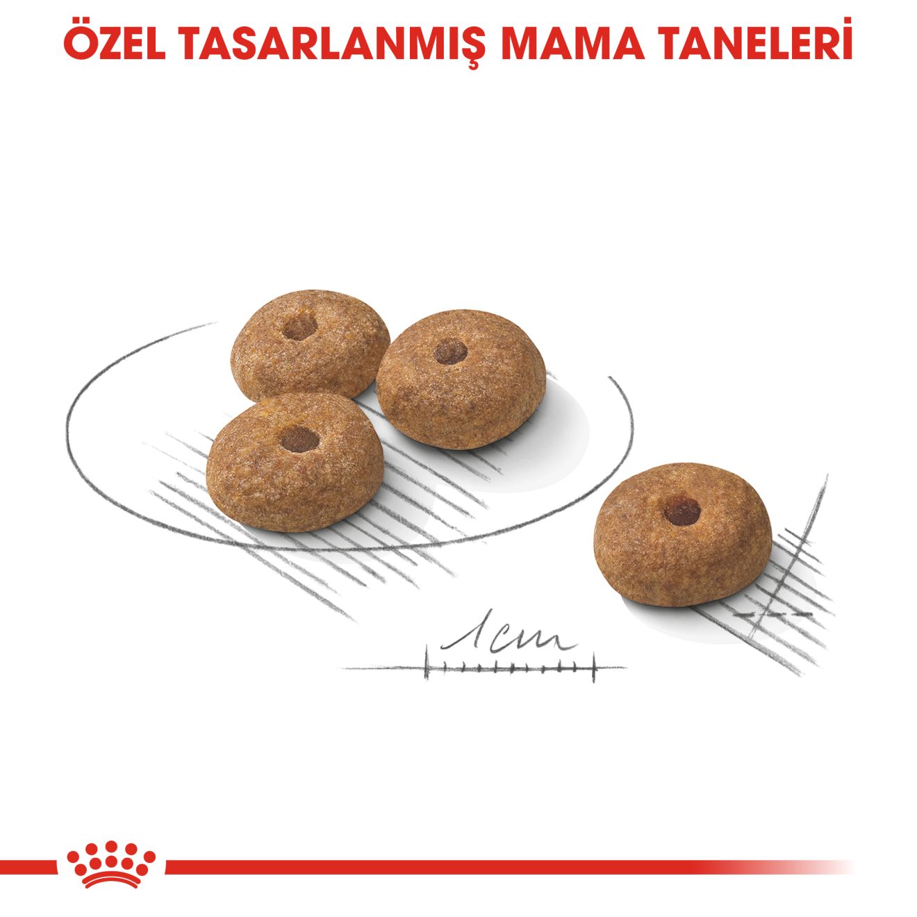 Royal Canin Mini Sterilised Kısırlaştırılmış Yetişkin Köpek Maması, 3Kg