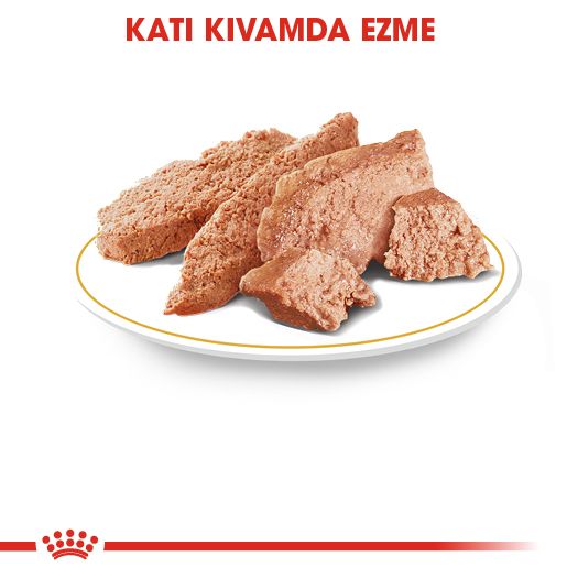 Royal Canin Persian Yetişkin Kedi Yaş Maması, 85g