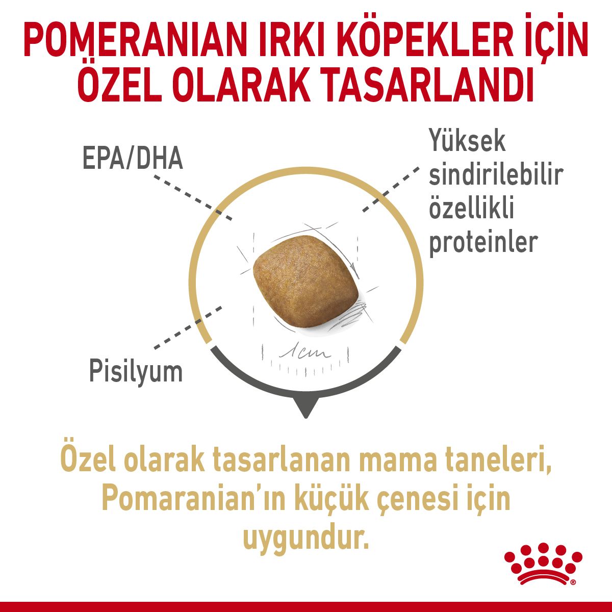 Royal Canin Pomeranian Yetişkin Köpek Maması