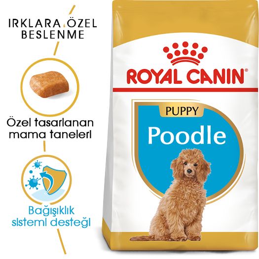 Royal Canin Poodle Köpek Maması, 3Kg