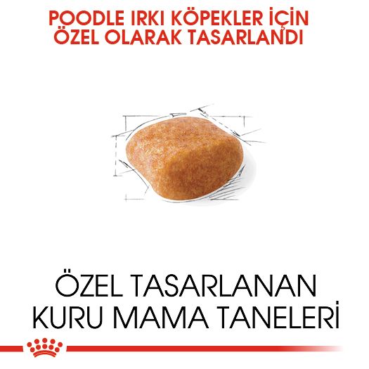Royal Canin Poodle Köpek Maması, 3Kg