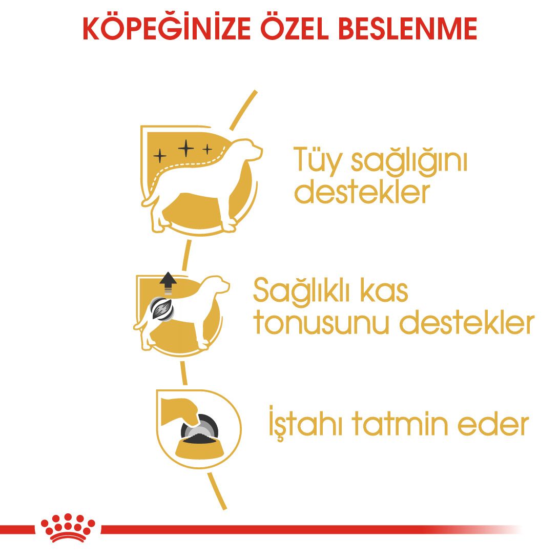 Royal Canin Poodle Yetişkin Köpek Yaş Maması, 85g