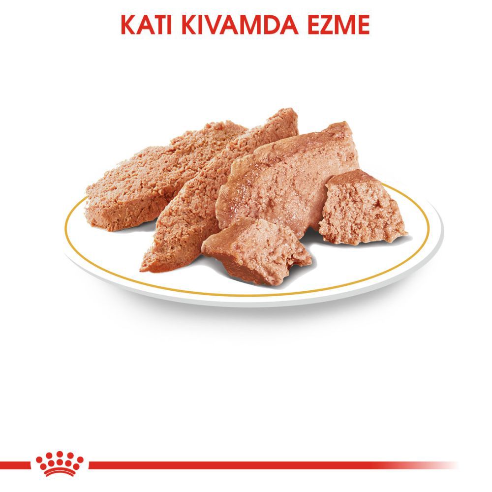 Royal Canin Poodle Yetişkin Köpek Yaş Maması, 85g