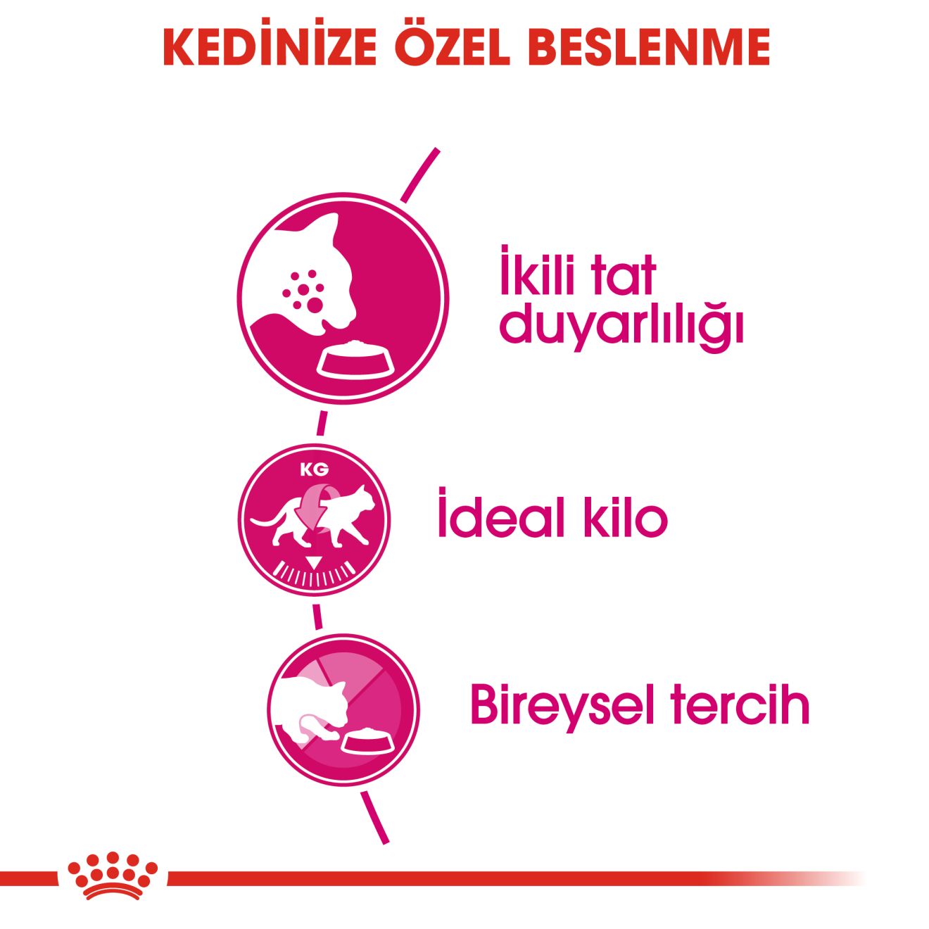 Royal Canin Savour Exigent Yetişkin Kedi Maması