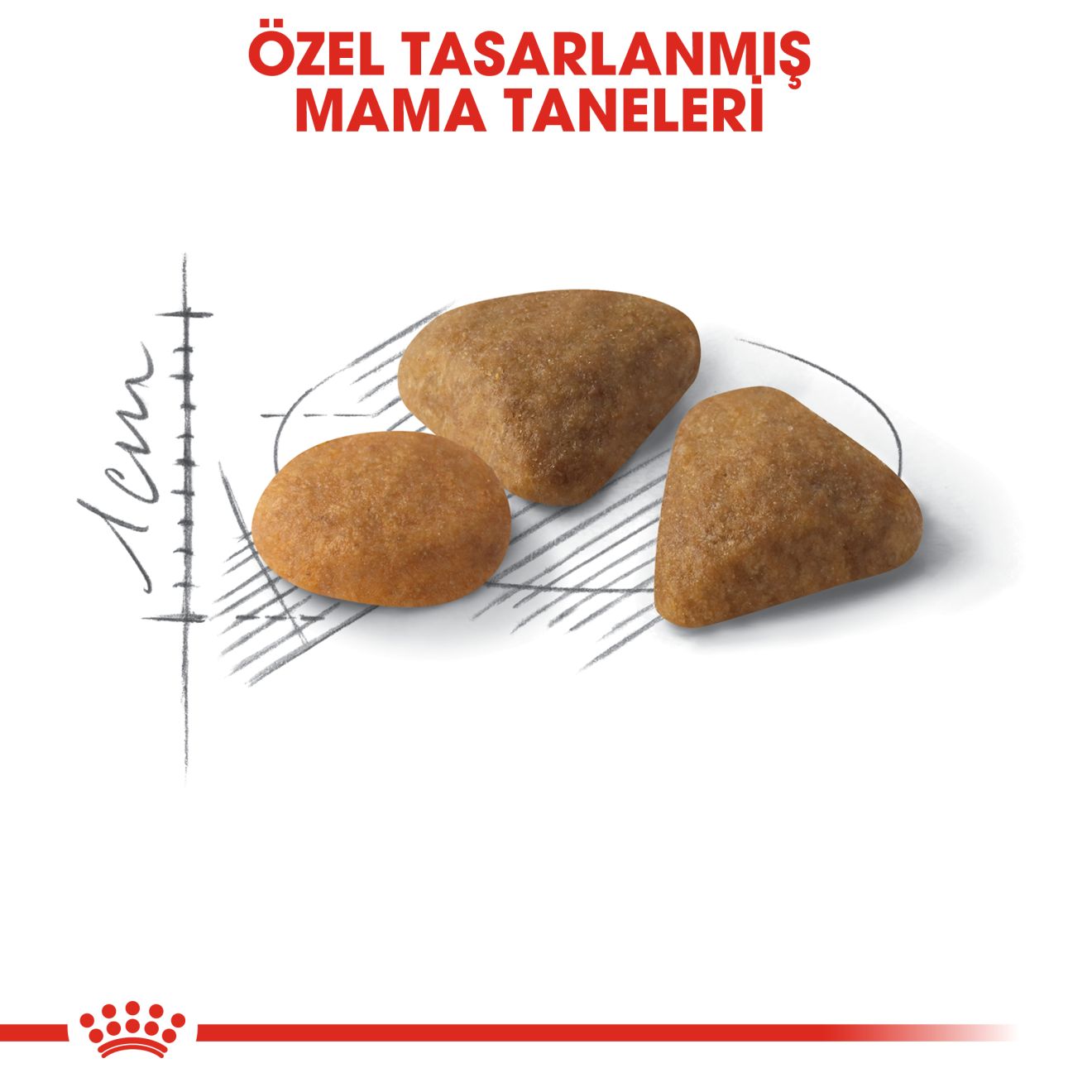 Royal Canin Savour Exigent Yetişkin Kedi Maması