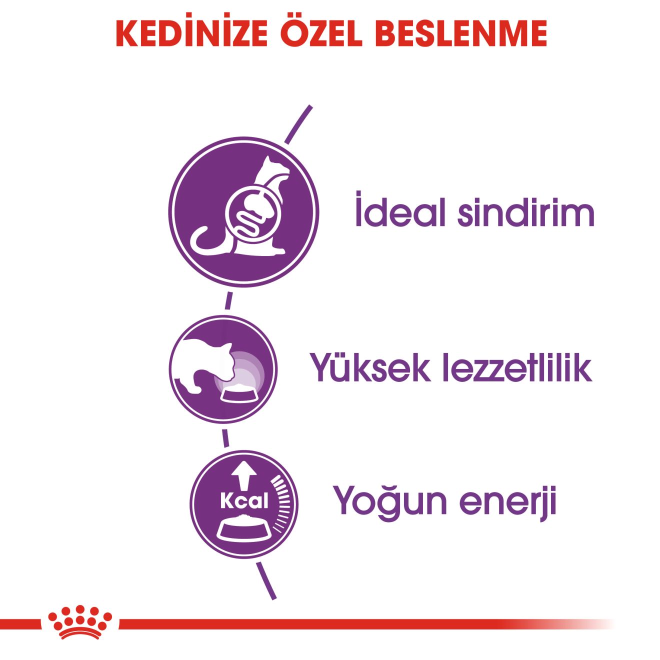 Royal Canin Sensible 33 Yetişkin Kedi Maması