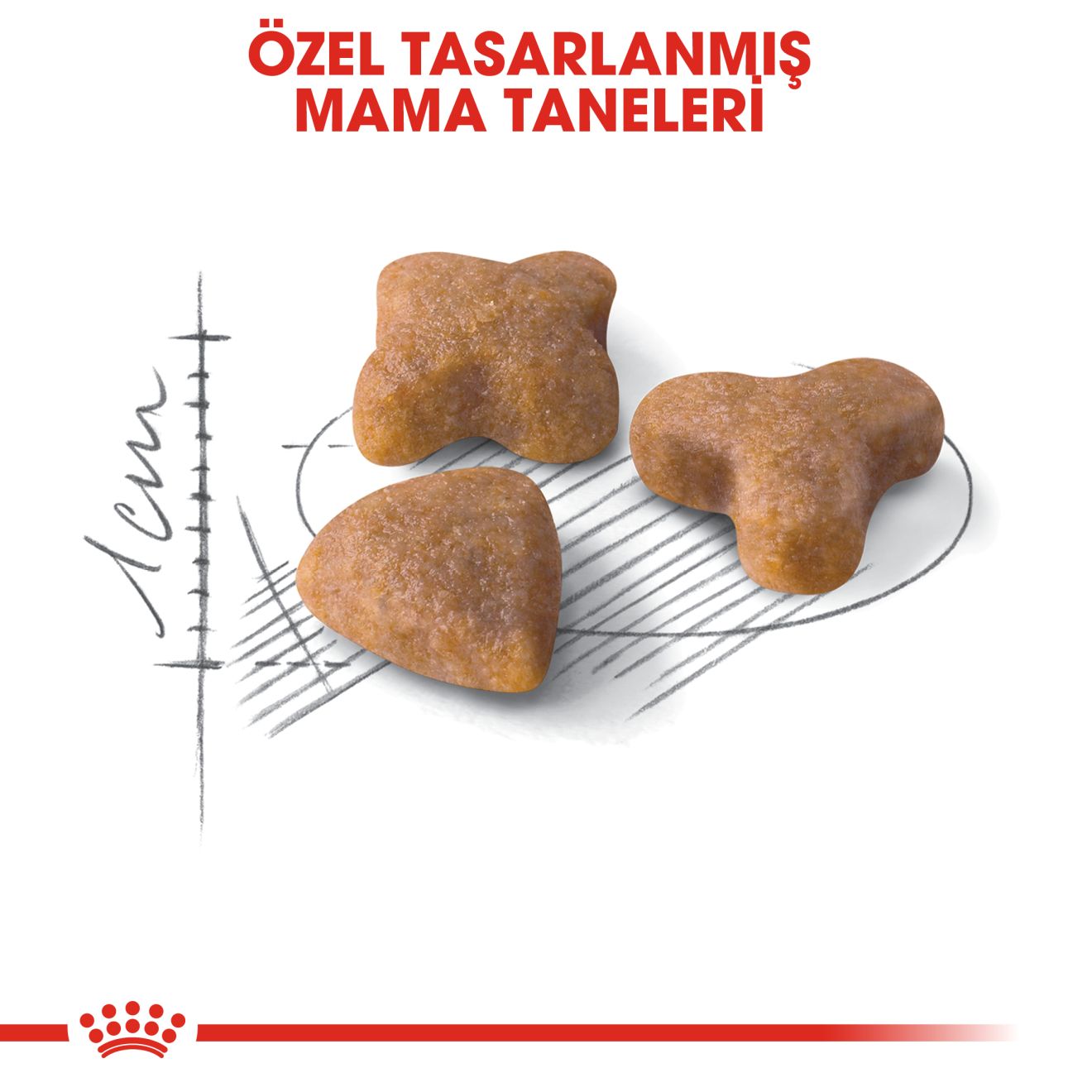 Royal Canin Sensible 33 Yetişkin Kedi Maması