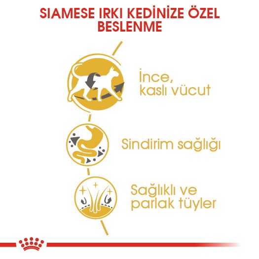 Royal Canin Siamese Yetişkin Kedi Maması, 2Kg