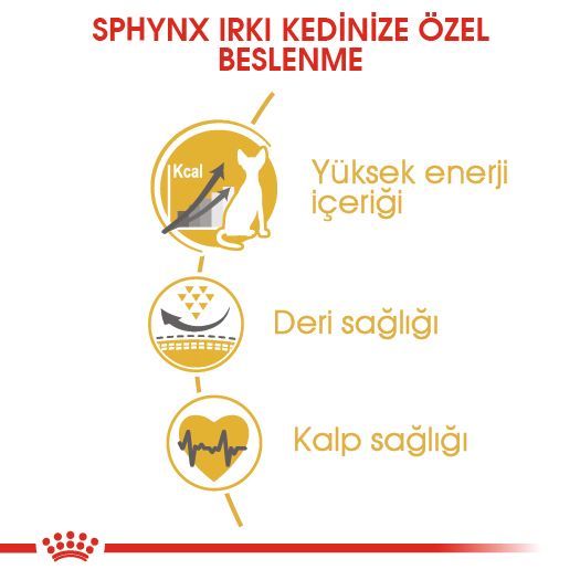 Royal Canin Sphynx Yetişkin Kedi Maması, 2Kg