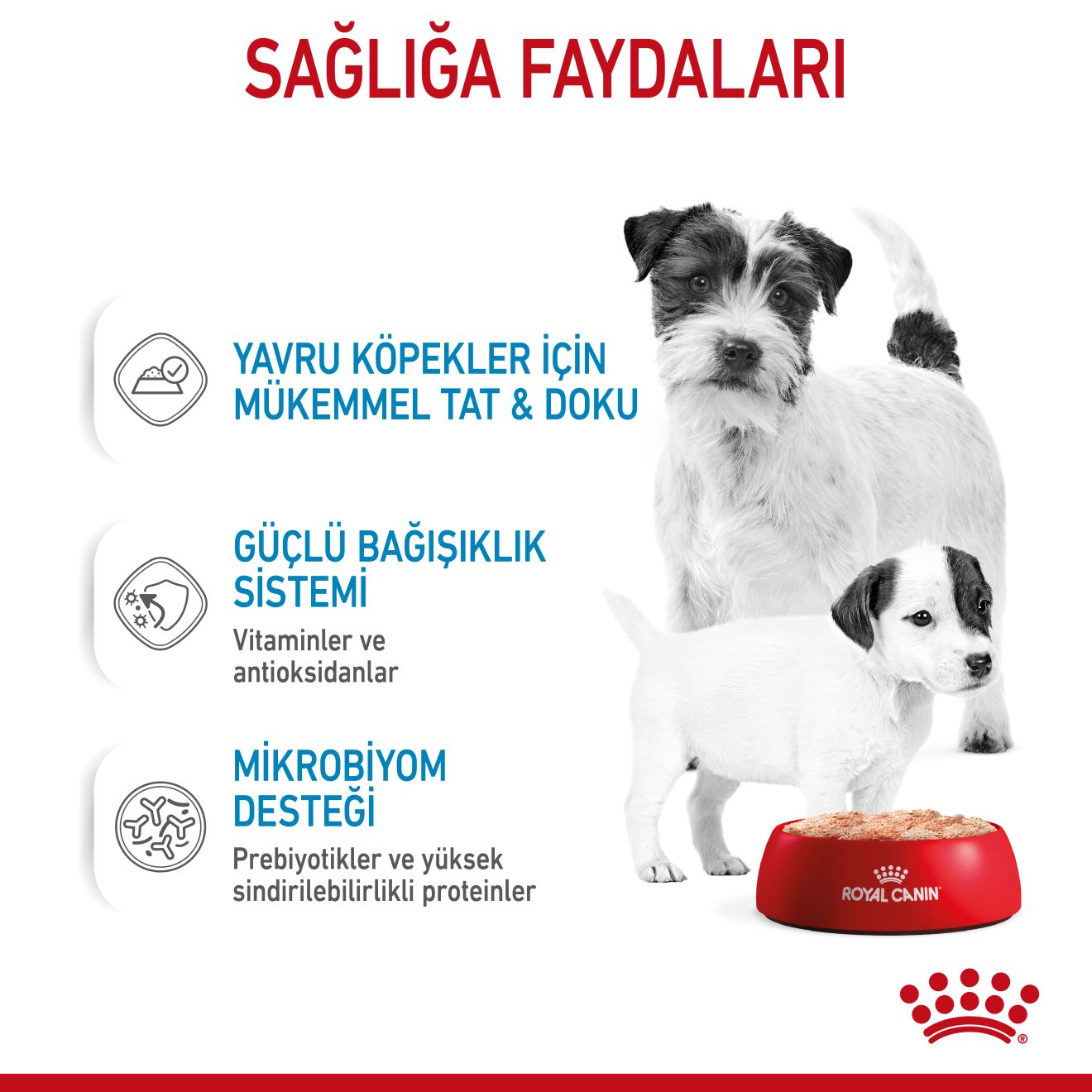 Royal Canin Starter Mousse Yavru Köpek Konserve Maması, 195g