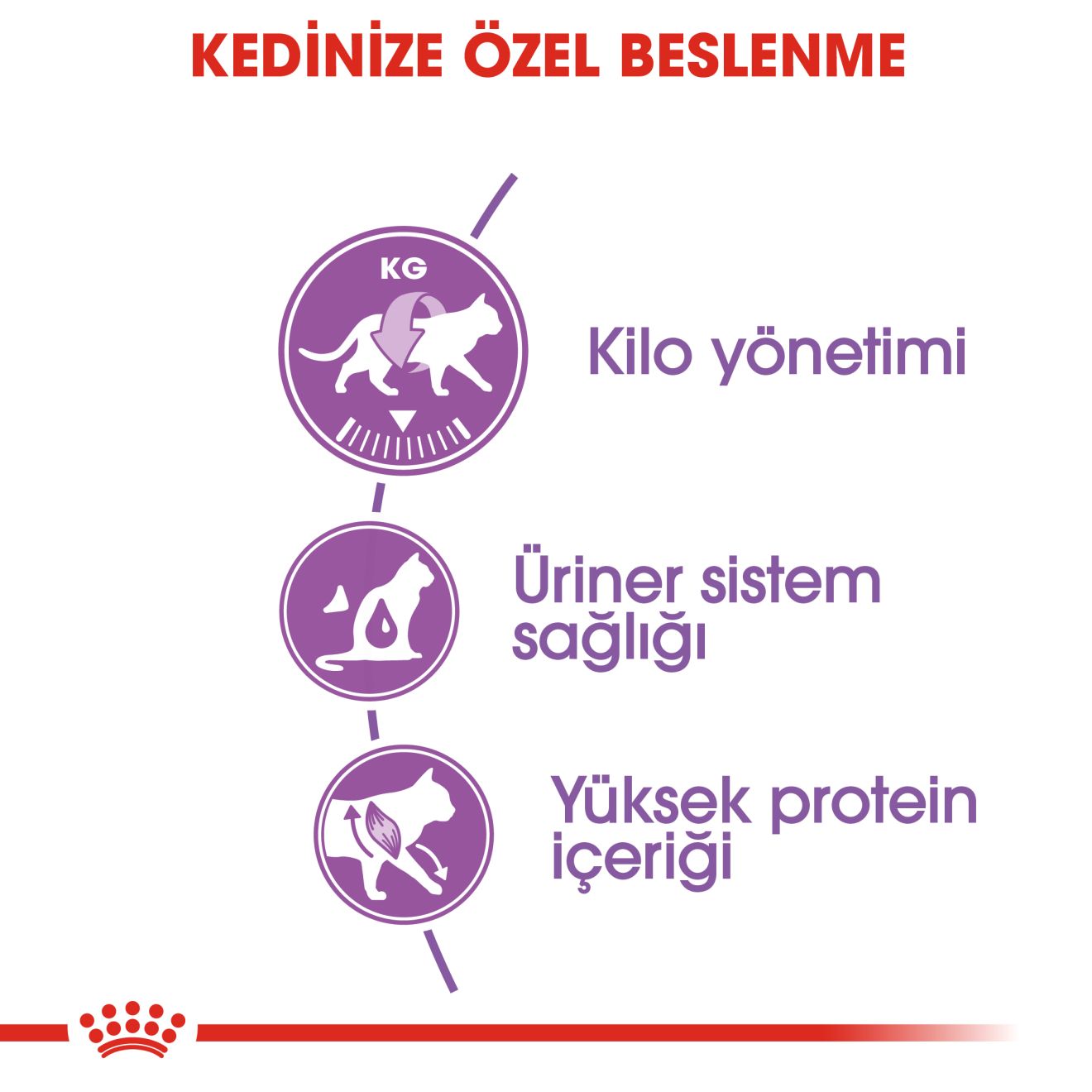 Royal Canin Sterilised 37 Kısırlaştırılmış Yetişkin Kedi Maması