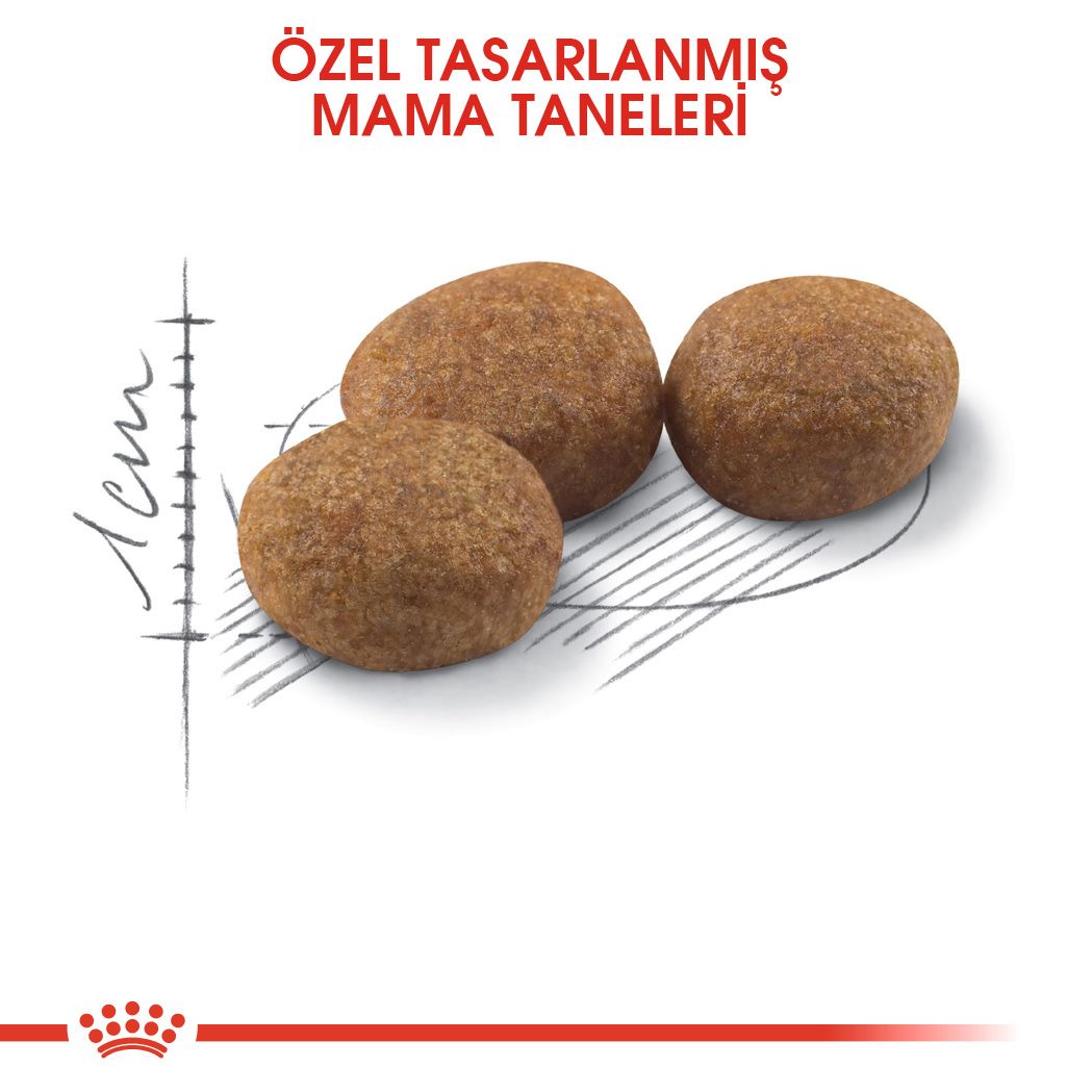 Royal Canin Sterilised 37 Kısırlaştırılmış Yetişkin Kedi Maması