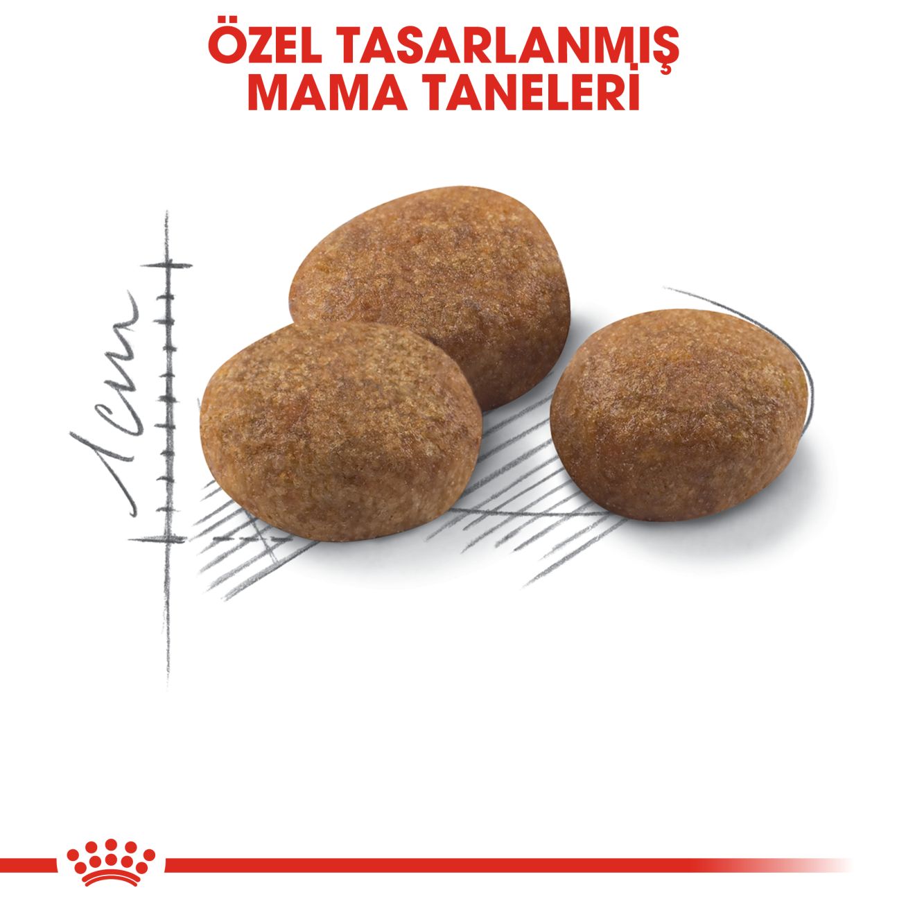 Royal Canin Sterilised +7 Kısırlaştırılmış Yaşlı Kedi Maması