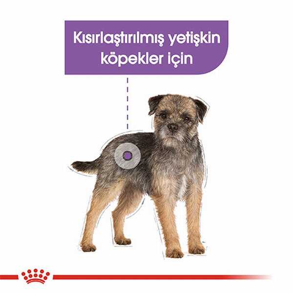 Royal Canin Sterilised Kısırlaştırılmış Yetişkin Köpek Yaş Maması, 85g